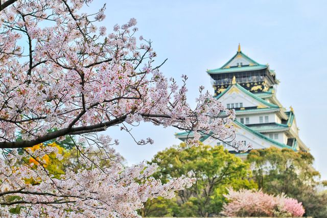 桜