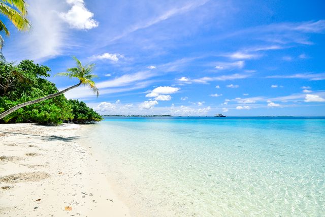 夏
